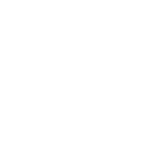 silicon free
